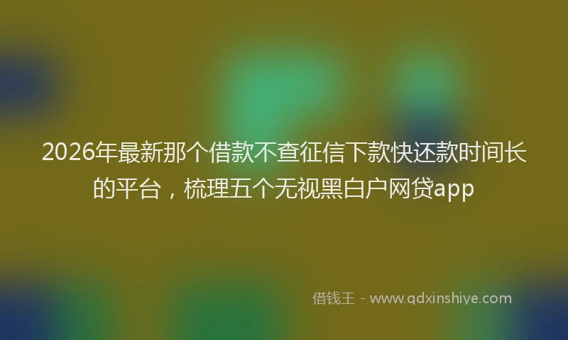 2026年最新那个借款不查征信下款快还款时间长的平台，梳理五个无视黑白户网贷app