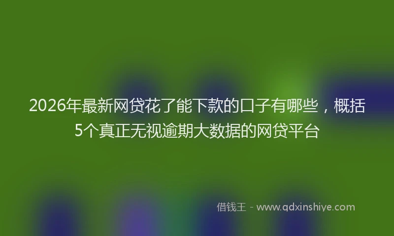 2026年最新网贷花了能下款的口子有哪些，概括5个真正无视逾期大数据的网贷平台