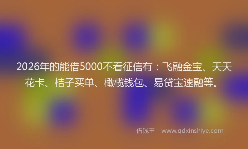 2026年的能借5000不看征信有：飞融金宝、天天花卡、桔子买单、橄榄钱包、易贷宝速融等。