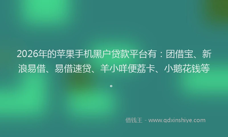 2026年的苹果手机黑户贷款平台有：团借宝、新浪易借、易借速贷、羊小咩便荔卡、小鹅花钱等。