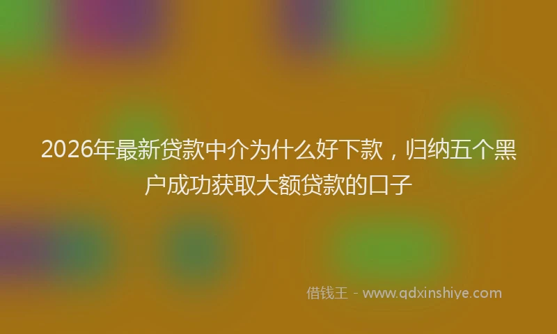 2026年最新贷款中介为什么好下款，归纳五个黑户成功获取大额贷款的口子