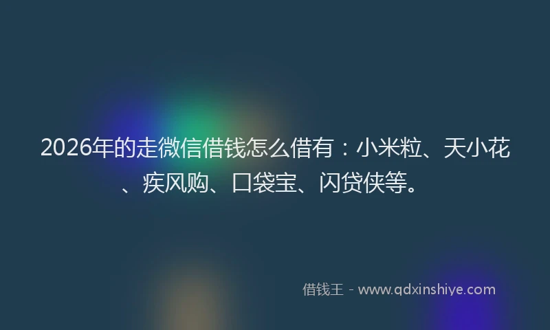 2026年的走微信借钱怎么借有：小米粒、天小花、疾风购、口袋宝、闪贷侠等。