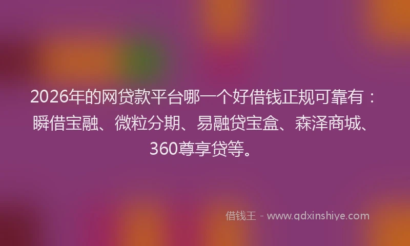2026年的网贷款平台哪一个好借钱正规可靠有：瞬借宝融、微粒分期、易融贷宝盒、森泽商城、360尊享贷等。