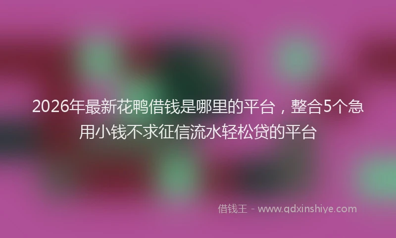 2026年最新花鸭借钱是哪里的平台，整合5个急用小钱不求征信流水轻松贷的平台