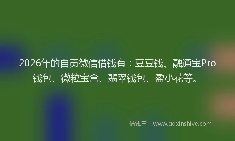 2026年的自贡微信借钱有：豆豆钱、融通宝Pro钱包、微粒宝盒、翡翠钱包、盈小花等。