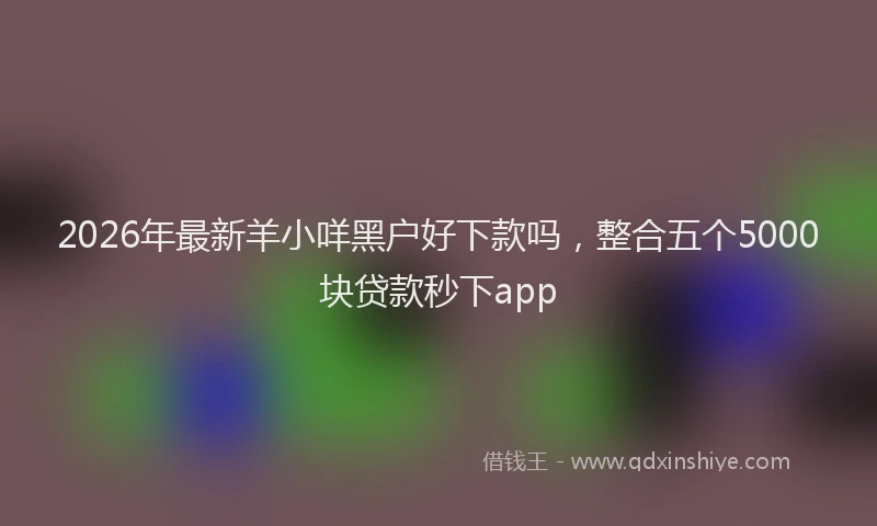 2026年最新羊小咩黑户好下款吗，整合五个5000块贷款秒下app
