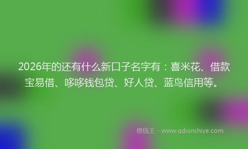 2026年的还有什么新口子名字有：喜米花、借款宝易借、哆哆钱包贷、好人贷、蓝鸟信用等。