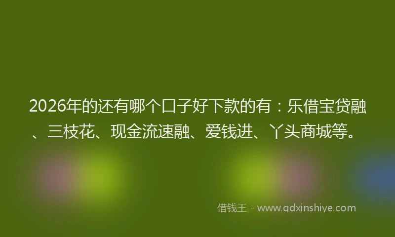 2026年的还有哪个口子好下款的有：乐借宝贷融、三枝花、现金流速融、爱钱进、丫头商城等。