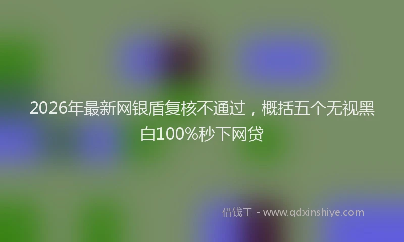 2026年最新网银盾复核不通过，概括五个无视黑白100%秒下网贷