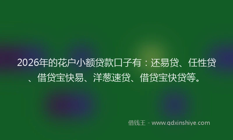 2026年的花户小额贷款口子有：还易贷、任性贷、借贷宝快易、洋葱速贷、借贷宝快贷等。