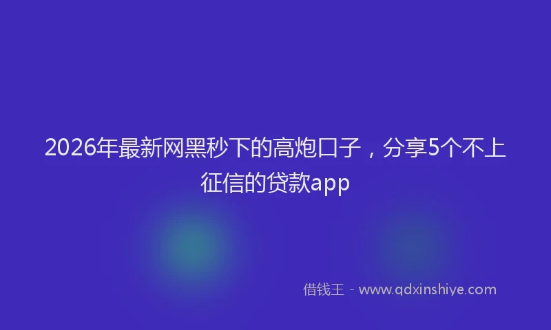 2026年最新网黑秒下的高炮口子，分享5个不上征信的贷款app