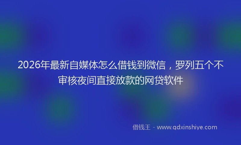 2026年最新自媒体怎么借钱到微信，罗列五个不审核夜间直接放款的网贷软件