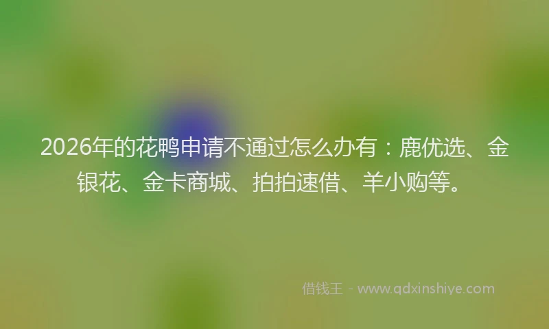 2026年的花鸭申请不通过怎么办有：鹿优选、金银花、金卡商城、拍拍速借、羊小购等。