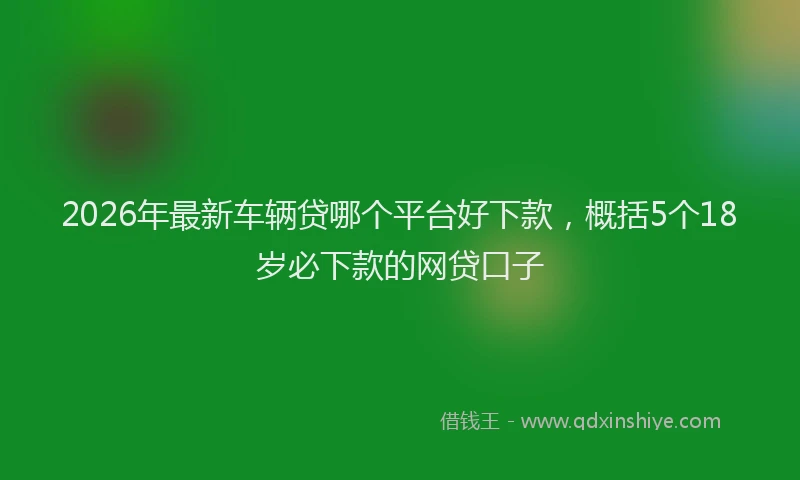 2026年最新车辆贷哪个平台好下款，概括5个18岁必下款的网贷口子