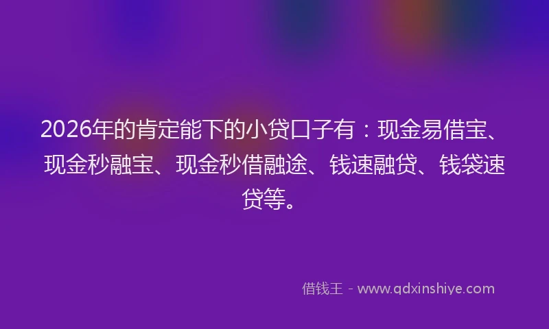 2026年的肯定能下的小贷口子有：现金易借宝、现金秒融宝、现金秒借融途、钱速融贷、钱袋速贷等。