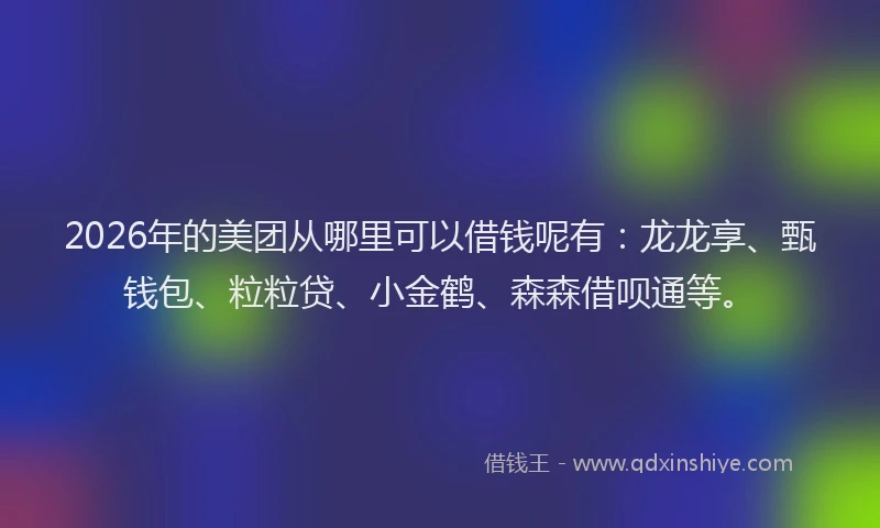 2026年的美团从哪里可以借钱呢有：龙龙享、甄钱包、粒粒贷、小金鹤、森森借呗通等。