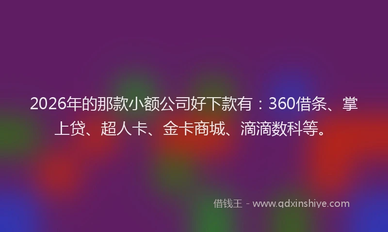 2026年的那款小额公司好下款有：360借条、掌上贷、超人卡、金卡商城、滴滴数科等。