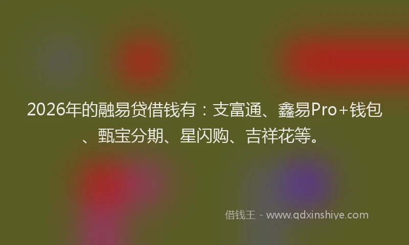 2026年的融易贷借钱有：支富通、鑫易Pro+钱包、甄宝分期、星闪购、吉祥花等。