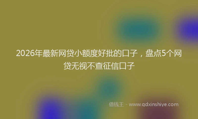 2026年最新网贷小额度好批的口子，盘点5个网贷无视不查征信口子