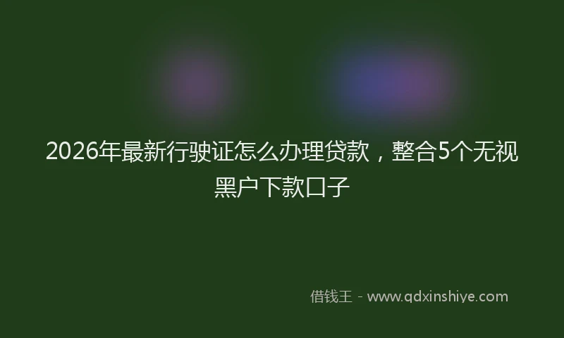 2026年最新行驶证怎么办理贷款，整合5个无视黑户下款口子