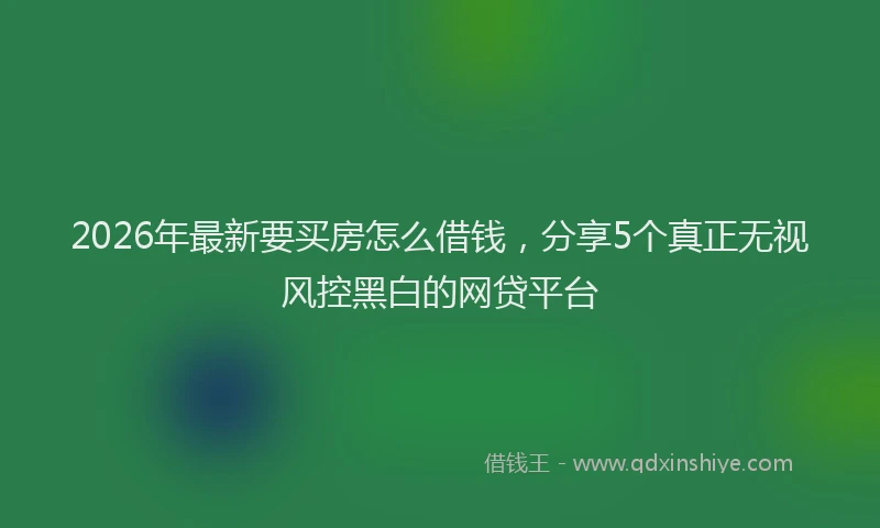 2026年最新要买房怎么借钱，分享5个真正无视风控黑白的网贷平台