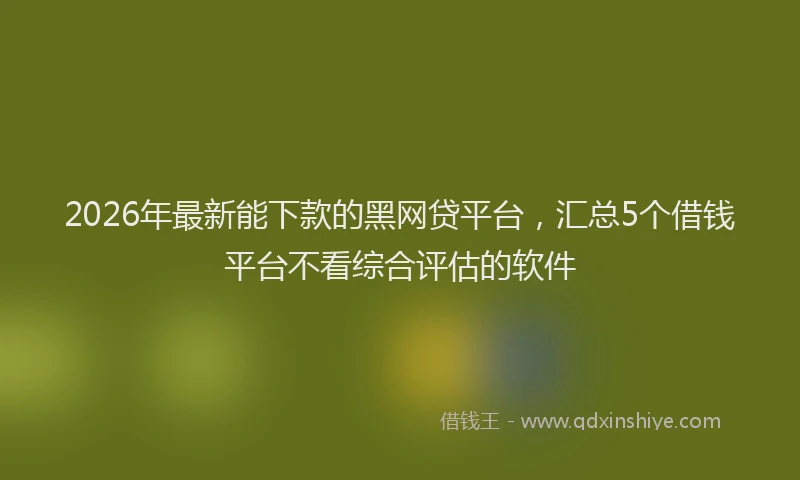 2026年最新能下款的黑网贷平台，汇总5个借钱平台不看综合评估的软件