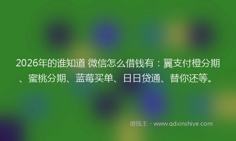 2026年的谁知道 微信怎么借钱有：翼支付橙分期、蜜桃分期、蓝莓买单、日日贷通、替你还等。