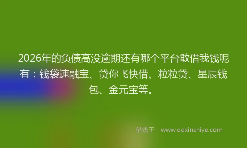 2026年的负债高没逾期还有哪个平台敢借我钱呢有：钱袋速融宝、贷你飞快借、粒粒贷、星辰钱包、金元宝等。