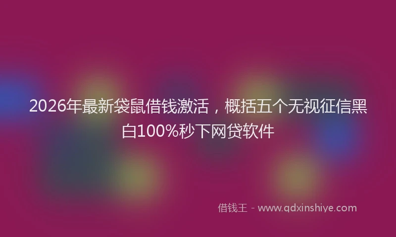 2026年最新袋鼠借钱激活，概括五个无视征信黑白100%秒下网贷软件
