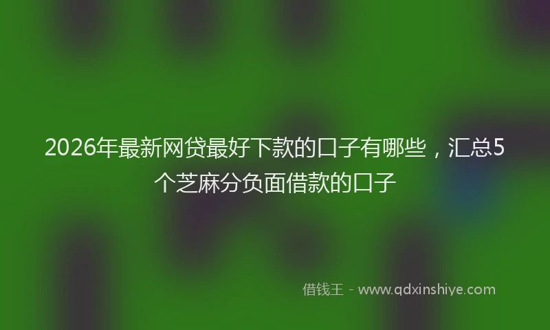 2026年最新网贷最好下款的口子有哪些，汇总5个芝麻分负面借款的口子