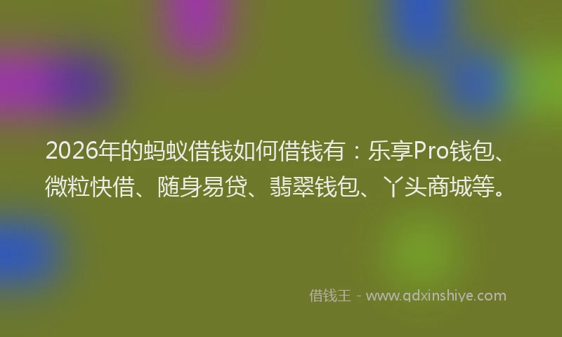 2026年的蚂蚁借钱如何借钱有：乐享Pro钱包、微粒快借、随身易贷、翡翠钱包、丫头商城等。