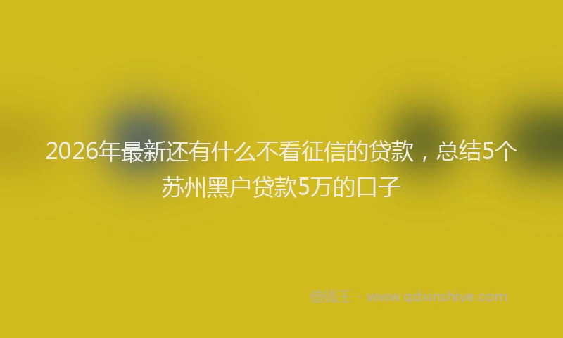 2026年最新还有什么不看征信的贷款，总结5个苏州黑户贷款5万的口子