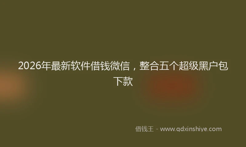 2026年最新软件借钱微信，整合五个超级黑户包下款