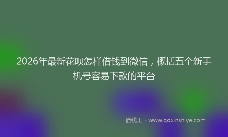 2026年最新花呗怎样借钱到微信，概括五个新手机号容易下款的平台