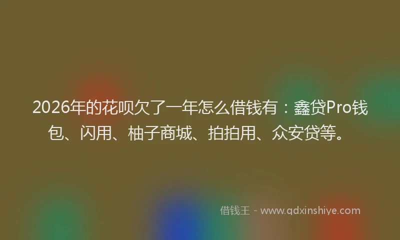 2026年的花呗欠了一年怎么借钱有：鑫贷Pro钱包、闪用、柚子商城、拍拍用、众安贷等。