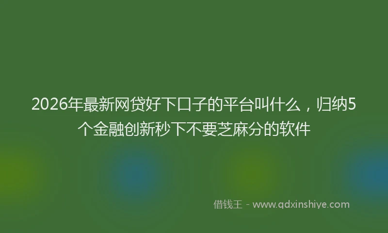 2026年最新网贷好下口子的平台叫什么，归纳5个金融创新秒下不要芝麻分的软件