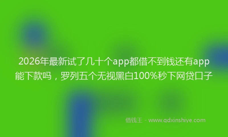 2026年最新试了几十个app都借不到钱还有app能下款吗，罗列五个无视黑白100%秒下网贷口子
