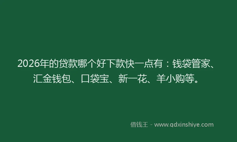 2026年的贷款哪个好下款快一点有：钱袋管家、汇金钱包、口袋宝、新一花、羊小购等。