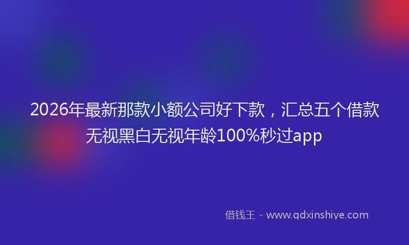 2026年最新那款小额公司好下款，汇总五个借款无视黑白无视年龄100%秒过app