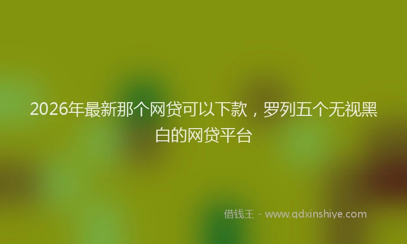 2026年最新那个网贷可以下款，罗列五个无视黑白的网贷平台