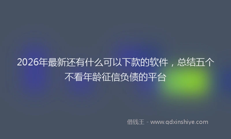 2026年最新还有什么可以下款的软件，总结五个不看年龄征信负债的平台