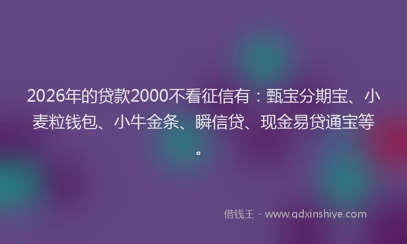 2026年的贷款2000不看征信有：甄宝分期宝、小麦粒钱包、小牛金条、瞬信贷、现金易贷通宝等。
