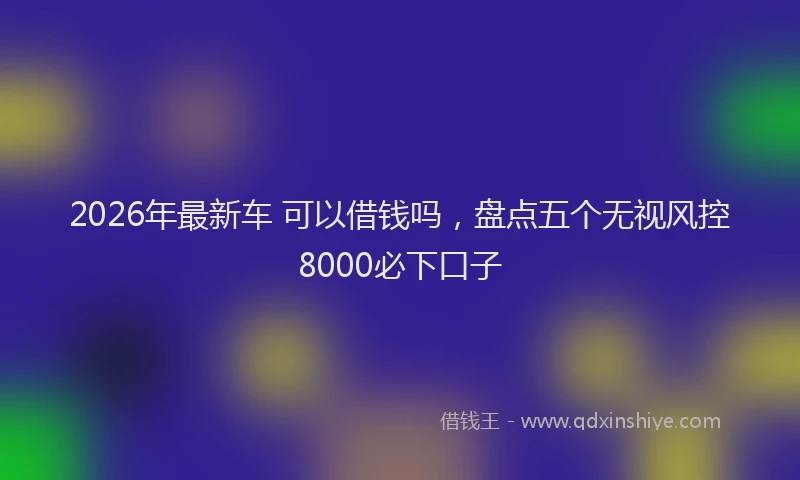 2026年最新车 可以借钱吗，盘点五个无视风控8000必下口子