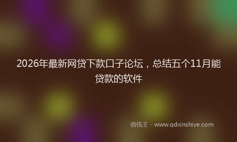 2026年最新网贷下款口子论坛，总结五个11月能贷款的软件