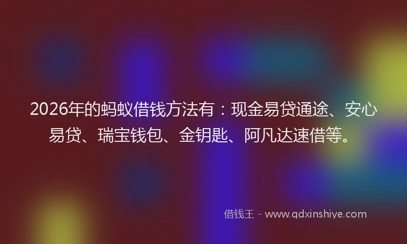 2026年的蚂蚁借钱方法有：现金易贷通途、安心易贷、瑞宝钱包、金钥匙、阿凡达速借等。