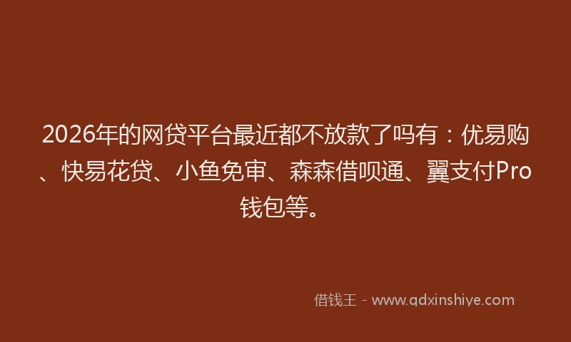 2026年的网贷平台最近都不放款了吗有：优易购、快易花贷、小鱼免审、森森借呗通、翼支付Pro钱包等。