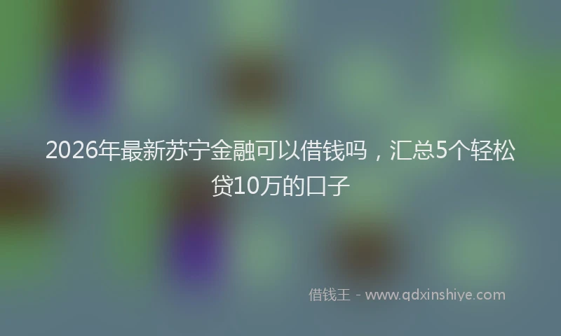 2026年最新苏宁金融可以借钱吗，汇总5个轻松贷10万的口子