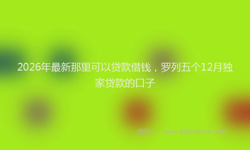 2026年最新那里可以贷款借钱，罗列五个12月独家贷款的口子