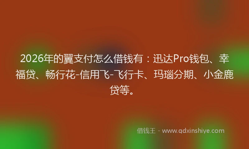 2026年的翼支付怎么借钱有：迅达Pro钱包、幸福贷、畅行花-信用飞-飞行卡、玛瑙分期、小金鹿贷等。