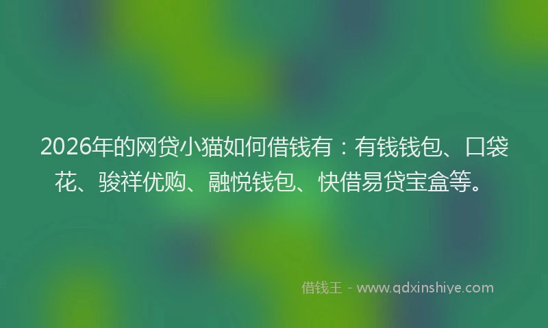 2026年的网贷小猫如何借钱有：有钱钱包、口袋花、骏祥优购、融悦钱包、快借易贷宝盒等。